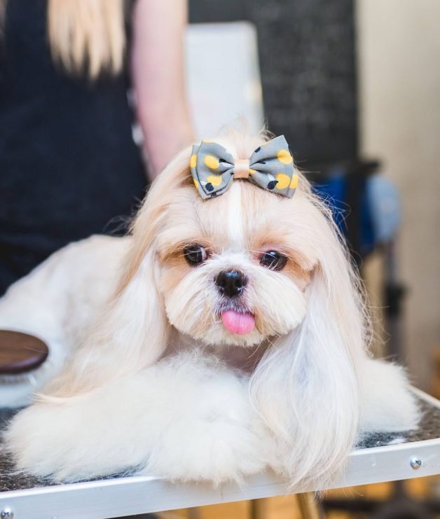 icr4-min-scaled-628x741